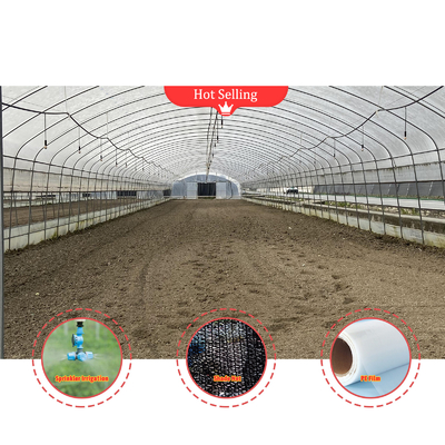 Customizable Mushroom Greenhouse with Manual or Electric Roll Up Ventilation