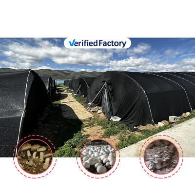 Side Height 1.2-1.8m and Arch Space 1-1.5m Mushroom Poly Tunnel Greenhouse UV Protected