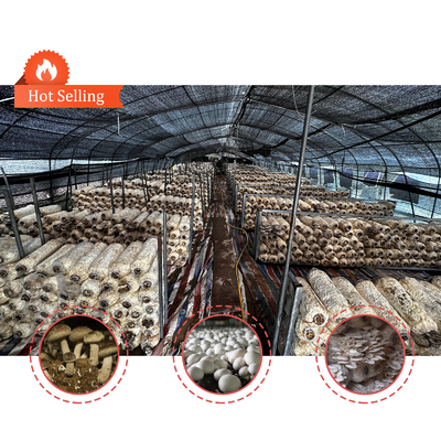 Side Height 1.2-1.8m and Arch Space 1-1.5m Mushroom Poly Tunnel Greenhouse UV Protected
