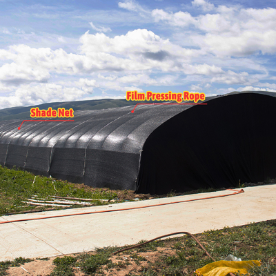 Side Height 1.2-1.8m and Arch Space 1-1.5m Mushroom Poly Tunnel Greenhouse UV Protected