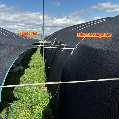 Blackout Curtain Green House Black Agricultural Greenhouses Tunneling For Mushroom