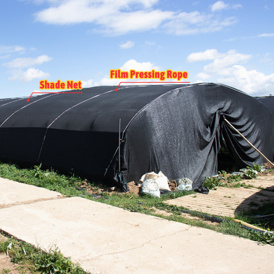 Blackout Curtain Green House Black Agricultural Greenhouses Tunneling For Mushroom