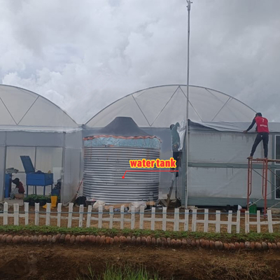 Flower and Vegetable Growing Hothouse Quonset Hut Conservatory Growing House Gutter-connected Large Greenhouses with Roof Ventilation
