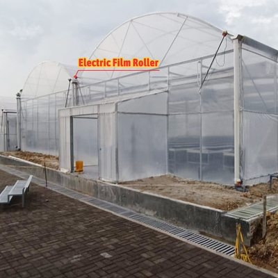 Flower and Vegetable Growing Hothouse Quonset Hut Conservatory Growing House Gutter-connected Large Greenhouses with Roof Ventilation