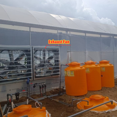 Flower and Vegetable Growing Hothouse Quonset Hut Conservatory Growing House Gutter-connected Large Greenhouses with Roof Ventilation