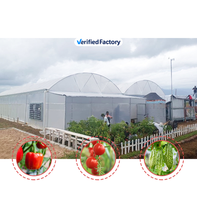 Flower and Vegetable Growing Hothouse Quonset Hut Conservatory Growing House Gutter-connected Large Greenhouses with Roof Ventilation