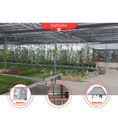 Flower and Vegetable Growing Hothouse Quonset Hut Conservatory Growing House Gutter-connected Large Greenhouses with Roof Ventilation