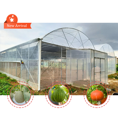 Flower and Vegetable Growing Hothouse Quonset Hut Conservatory Growing House Gutter-connected Large Greenhouses with Roof Ventilation