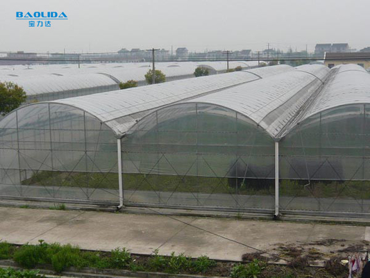 Flower Multi-tunnel Po Film Multi-span Greenhouse With Modern Automatic Control Equipment