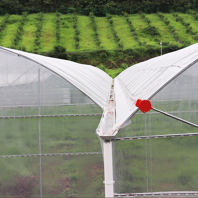 Flower Multi-tunnel Po Film Multi-span Greenhouse With Modern Automatic Control Equipment