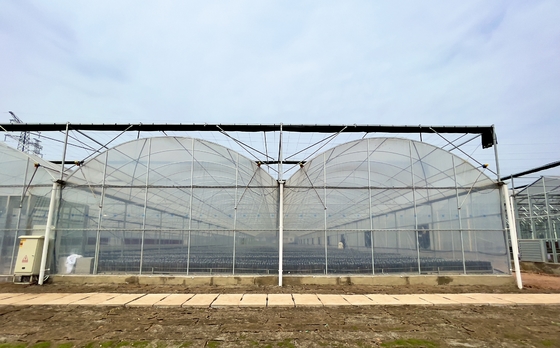 Flower Multi-tunnel Po Film Multi-span Greenhouse With Modern Automatic Control Equipment