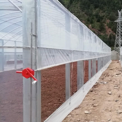 Flower Multi-tunnel Po Film Multi-span Greenhouse With Modern Automatic Control Equipment