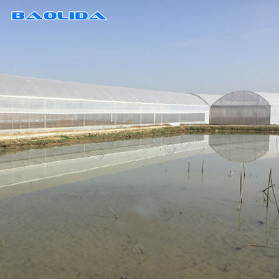 8-60m Length High Tunnel Plastic Film Greenhouse Customizable Size For Agriculture And Flower Production