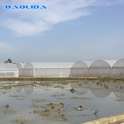 8-60m Length High Tunnel Plastic Film Greenhouse Customizable Size For Agriculture And Flower Production