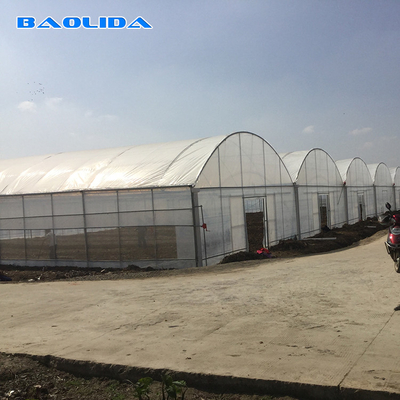 8-60m Length High Tunnel Plastic Film Greenhouse Customizable Size For Agriculture And Flower Production