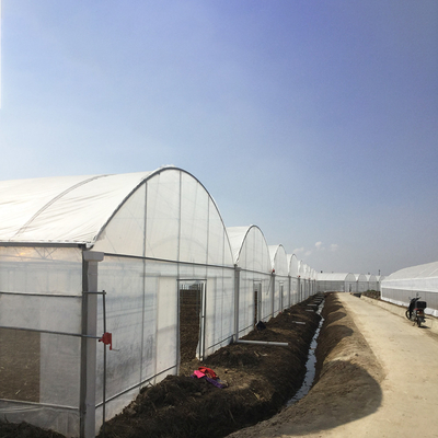 8-60m Length High Tunnel Plastic Film Greenhouse Customizable Size For Agriculture And Flower Production