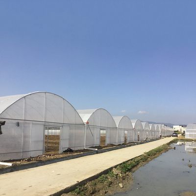 8-60m Length High Tunnel Plastic Film Greenhouse Customizable Size For Agriculture And Flower Production