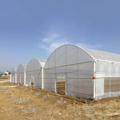 8-60m Length High Tunnel Plastic Film Greenhouse Customizable Size For Agriculture And Flower Production