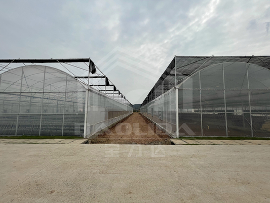 Baolida High Tunnel Plastic Film Multi Span Tropical Green House Siding Vent Agriculture Greenhouse with Shading System
