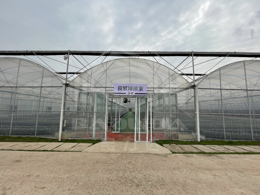 Baolida High Tunnel Plastic Film Multi Span Tropical Green House Siding Vent Agriculture Greenhouse with Shading System