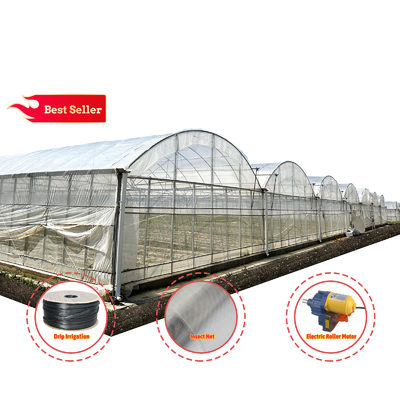 Baolida Custom Automatic System Greenhouse Tropical Hydroponic System Multi-span Seedling Greenhouse