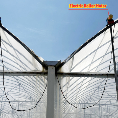 Baolida Custom Automatic System Greenhouse Tropical Hydroponic System Multi-span Seedling Greenhouse