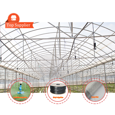 Baolida Custom Automatic System Greenhouse Tropical Hydroponic System Multi-span Seedling Greenhouse