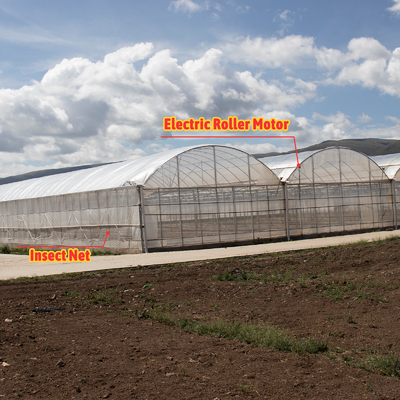 High Intensity Multi-span Arch Plastic Film Greenhouse Hot Dip Galvanized Steel Pipe Agriculture Greenhouse