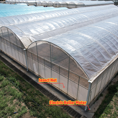 Baolida Custom Automatic System Greenhouse Tropical Hydroponic System Multi-span Seedling Greenhouse