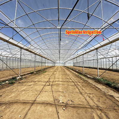Baolida Custom Automatic System Greenhouse Tropical Hydroponic System Multi-span Seedling Greenhouse