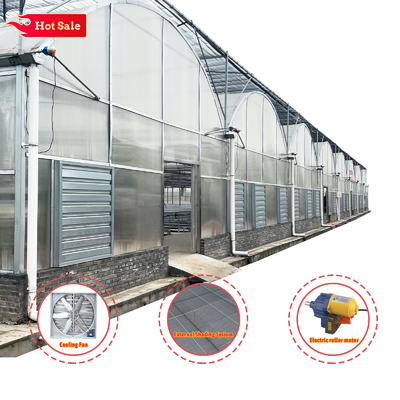 Thermostat Waterproof Plant Growing Hydroponics System Tunnel Large Greenhouses For Flower