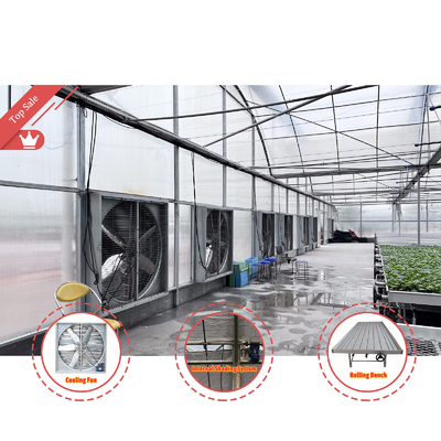 Thermostat Waterproof Plant Growing Hydroponics System Tunnel Large Greenhouses For Flower