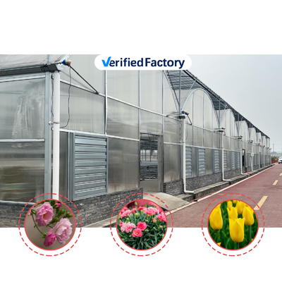 Thermostat Waterproof Plant Growing Hydroponics System Tunnel Large Greenhouses For Flower