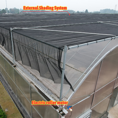 Thermostat Waterproof Plant Growing Hydroponics System Tunnel Large Greenhouses For Flower