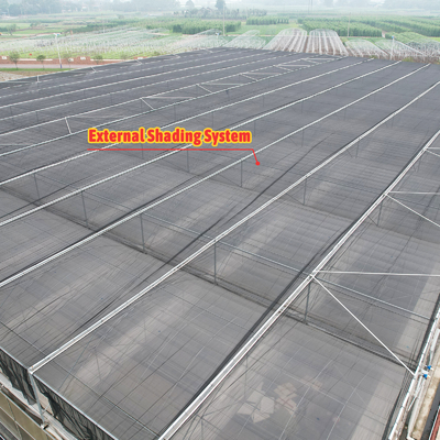 Thermostat Waterproof Plant Growing Hydroponics System Tunnel Large Greenhouses For Flower