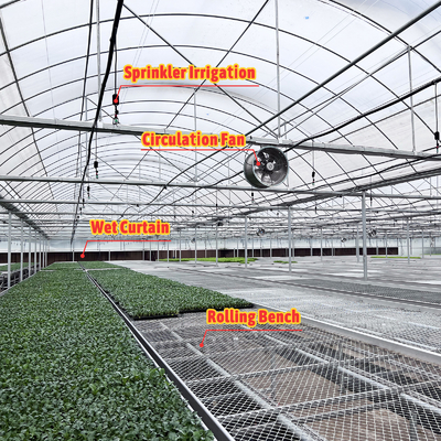 Thermostat Waterproof Plant Growing Hydroponics System Tunnel Large Greenhouses For Flower