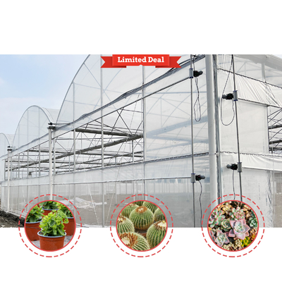Vegetable Farming Solution 8-60m Customizable Size Agricultural Tunnel Greenhouse with Rolling Bench and Irrigation System