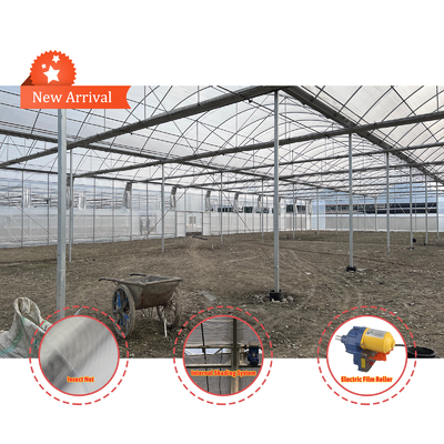 Vegetable Farming Solution 8-60m Customizable Size Agricultural Tunnel Greenhouse with Rolling Bench and Irrigation System