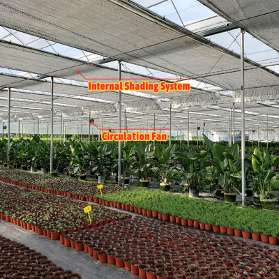 Vegetable Farming Solution 8-60m Customizable Size Agricultural Tunnel Greenhouse with Rolling Bench and Irrigation System