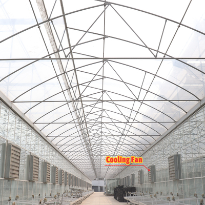 Economical Custom Design Automatic Shading System Multi-span Strawberry Greenhouses for Vegetable Fruit