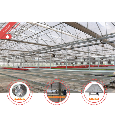 High Intensity Multi-span Arch Plastic Film Greenhouse Hot Dip Galvanized Steel Pipe Agriculture Greenhouse
