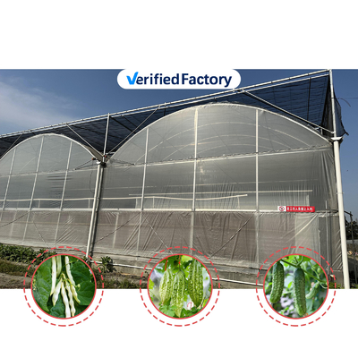Vegetable Production Agricultural Seeds Strawberry Greenhouses Multi Tunnel