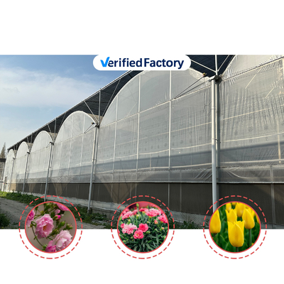 Agricultural Tunnel Greenhouse Plastic Film Multi-span Strawberry Greenhouse for Sale With Ventilation System