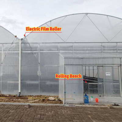 Multi-Span Agricultural Greenhouse 6m-12m Width with 150/200micron PE Film