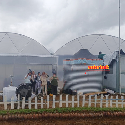 Multi-Span Agricultural Greenhouse 6m-12m Width with 150/200micron PE Film