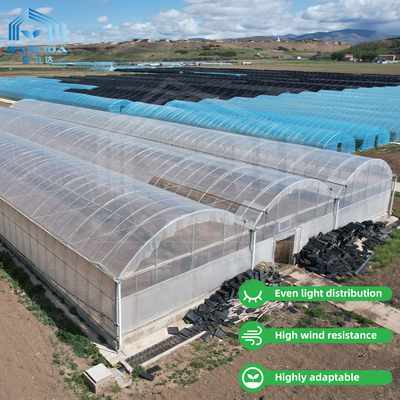 24m x 40m Multi-Span Greenhouse with 150 Micron PE Film Cover