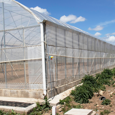 24m x 40m Multi-Span Greenhouse with 150 Micron PE Film Cover