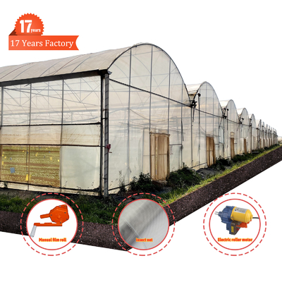 Large PE Film Greenhouse 50m Length 7-10m Span Width