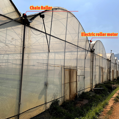 Large PE Film Greenhouse 50m Length 7-10m Span Width