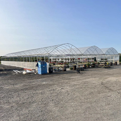 BAOLIDA 24x40m Single-Span Greenhouse with 150micron PE Film